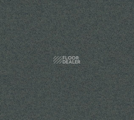 Ковровая плитка Interface Polichrome Solid 4266003 Cloudburst фото 1 | FLOORDEALER